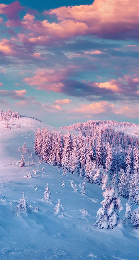 pink snow wallpaper